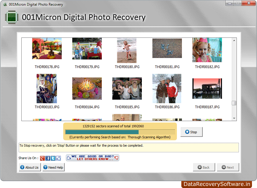 File Searching Photo Recovery